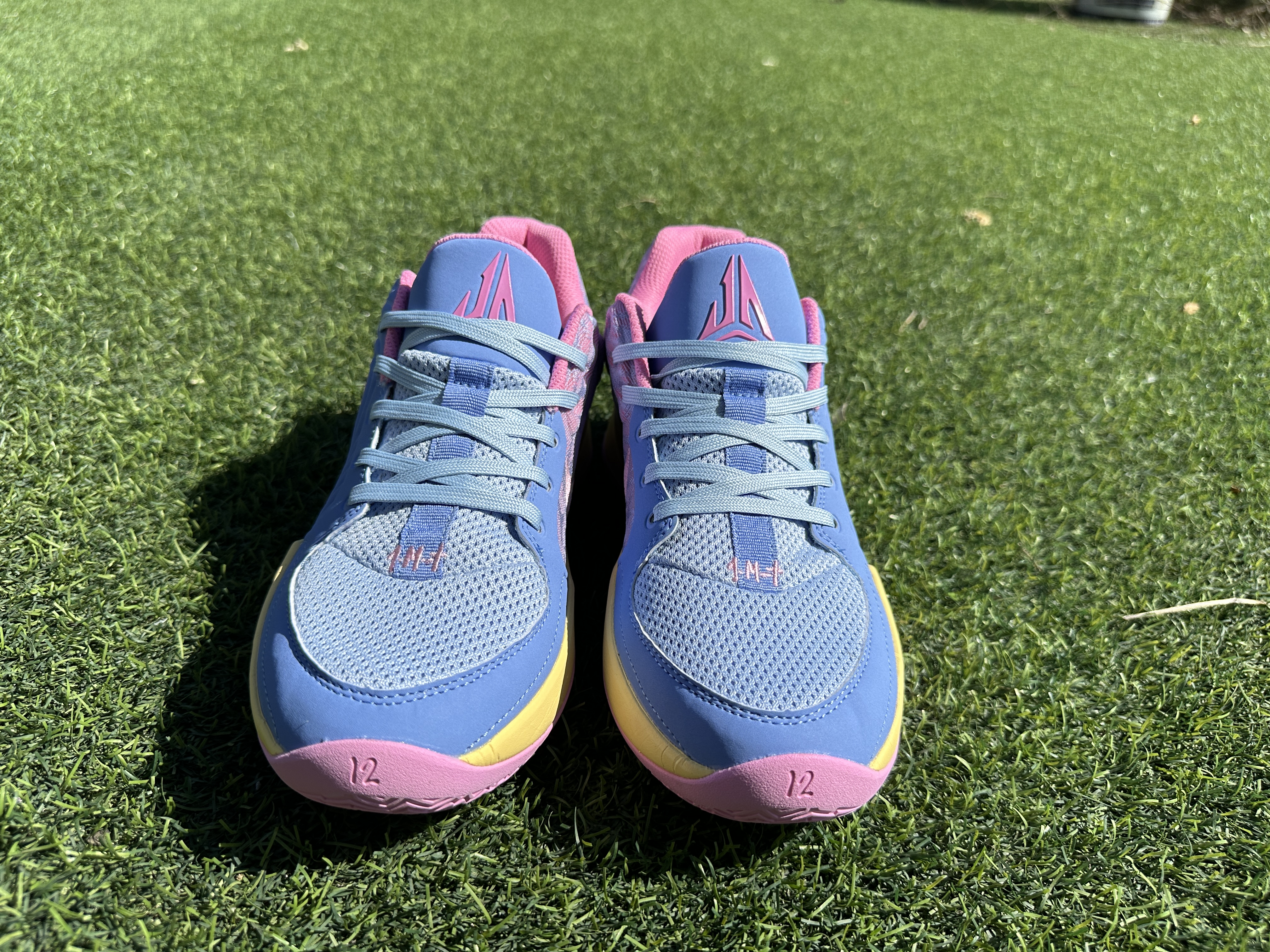 Nike Ja 2 Blue Pink